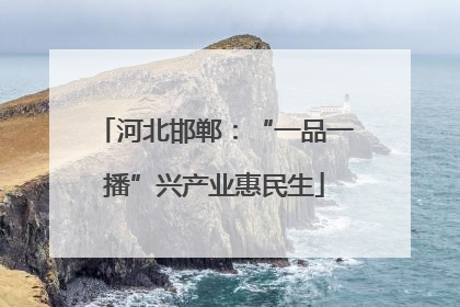 河北邯郸：“一品一播”兴产业惠民生