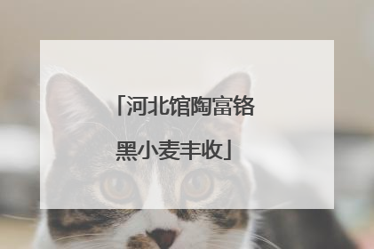 河北馆陶富铬黑小麦丰收