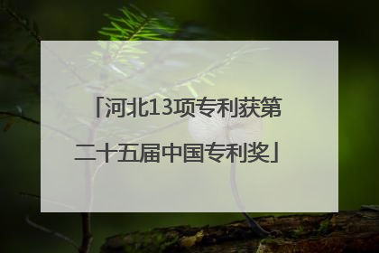 河北13项专利获第二十五届中国专利奖