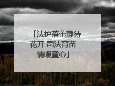 法护蓓蕾静待花开 司法育苗情暖童心