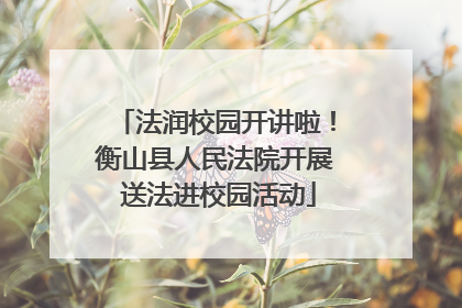 法润校园开讲啦！衡山县人民法院开展 送法进校园活动