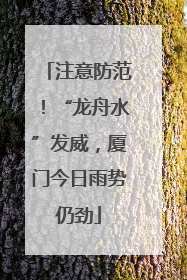 注意防范！“龙舟水”发威，厦门今日雨势仍劲