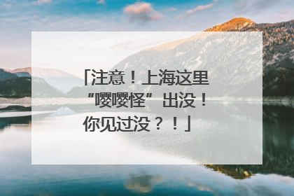 注意！上海这里“嘤嘤怪”出没！你见过没？！