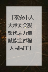 泰安市人大常委会凝聚代表力量赋能全过程人民民主