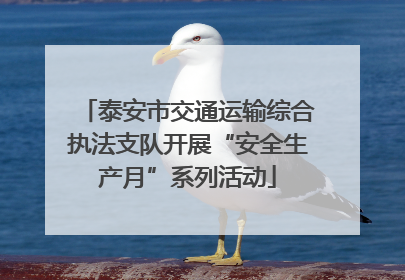 泰安市交通运输综合执法支队开展“安全生产月”系列活动