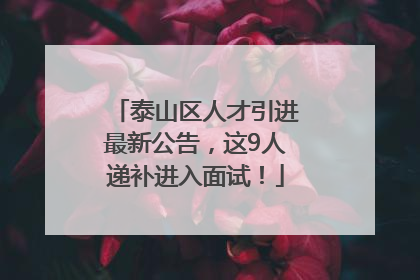 泰山区人才引进最新公告，这9人递补进入面试！