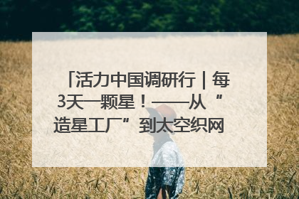 活力中国调研行｜每3天一颗星！——从“造星工厂”到太空织网的“银河速度”