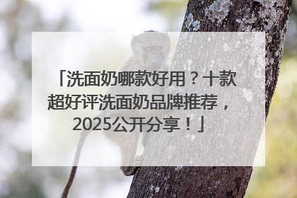 洗面奶哪款好用？十款超好评洗面奶品牌推荐，2025公开分享！