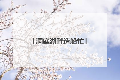 洞庭湖畔造船忙