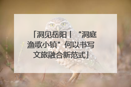 洞见岳阳丨“洞庭渔歌小镇”何以书写文旅融合新范式