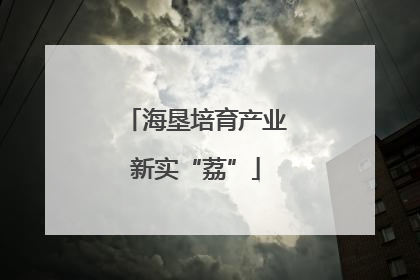 海垦培育产业新实“荔”