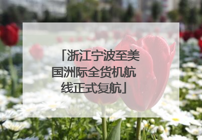 浙江宁波至美国洲际全货机航线正式复航