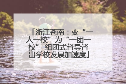 浙江苍南：变“一人一校”为“一团一校” 组团式督导督出学校发展加速度