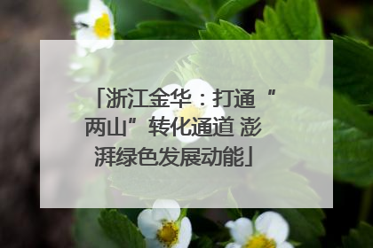 浙江金华：打通“两山”转化通道 澎湃绿色发展动能