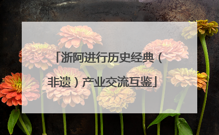 浙阿进行历史经典（非遗）产业交流互鉴