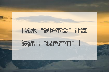 浠水“锅炉革命”让海鳗游出“绿色产值”