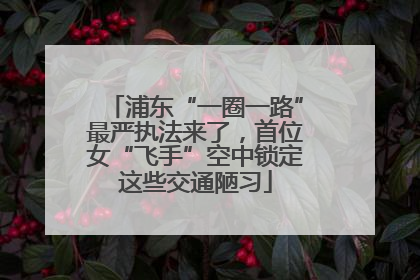 浦东“一圈一路”最严执法来了，首位女“飞手”空中锁定这些交通陋习