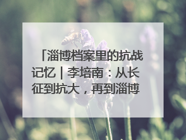 淄博档案里的抗战记忆｜李培南：从长征到抗大，再到淄博的革命足迹