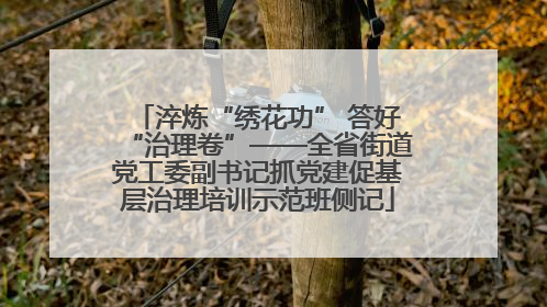 淬炼“绣花功” 答好“治理卷”——全省街道党工委副书记抓党建促基层治理培训示范班侧记