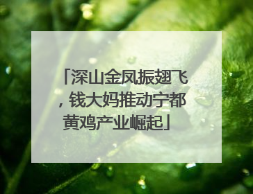 深山金凤振翅飞，钱大妈推动宁都黄鸡产业崛起