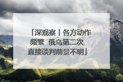 深观察丨各方动作频繁  俄乌第二次直接谈判前景不明