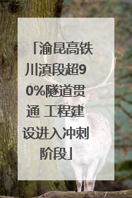 渝昆高铁川滇段超90%隧道贯通 工程建设进入冲刺阶段