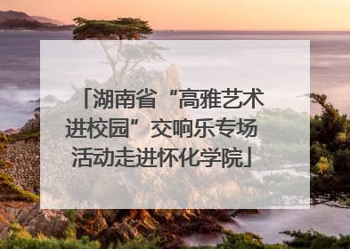 湖南省“高雅艺术进校园”交响乐专场活动走进怀化学院
