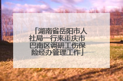 湖南省岳阳市人社局一行来重庆市巴南区调研工伤保险经办管理工作