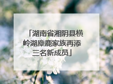 湖南省湘阴县横岭湖麋鹿家族再添三名新成员