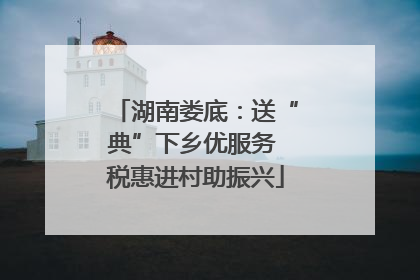 湖南娄底：送“典”下乡优服务 税惠进村助振兴