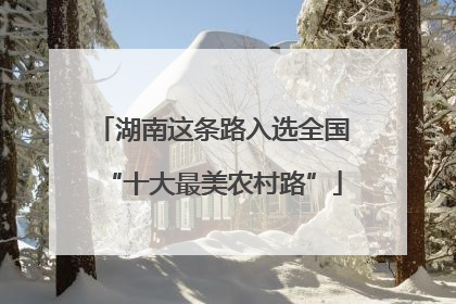 湖南这条路入选全国“十大最美农村路”