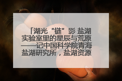湖光“链”影 盐湖实验室里的星辰与荒原——记中国科学院青海盐湖研究所，盐湖资源化学实验室党总支书记、副主任刘忠
