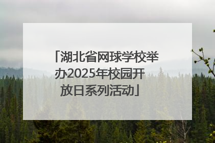 湖北省网球学校举办2025年校园开放日系列活动