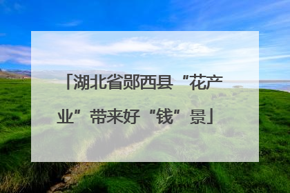 湖北省郧西县“花产业”带来好“钱”景