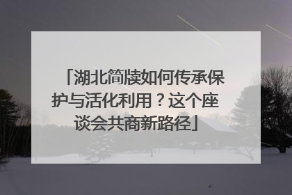 湖北简牍如何传承保护与活化利用？这个座谈会共商新路径