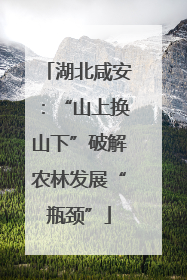 湖北咸安：“山上换山下”破解农林发展“瓶颈”