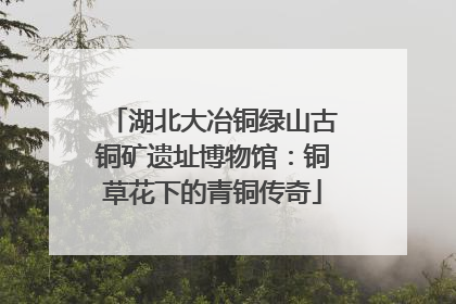 湖北大冶铜绿山古铜矿遗址博物馆：铜草花下的青铜传奇