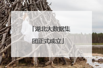 湖北大数据集团正式成立