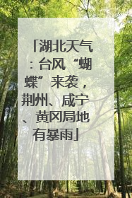 湖北天气：台风“蝴蝶”来袭，荆州、咸宁、黄冈局地有暴雨