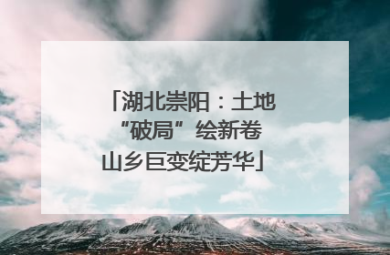 湖北崇阳：土地“破局”绘新卷 山乡巨变绽芳华