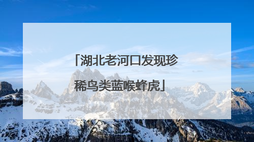 湖北老河口发现珍稀鸟类蓝喉蜂虎