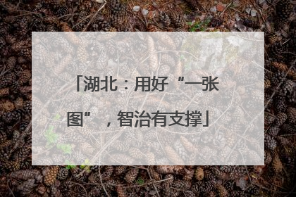 湖北：用好“一张图”，智治有支撑