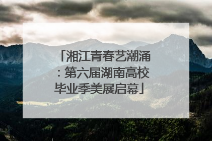 湘江青春艺潮涌：第六届湖南高校毕业季美展启幕