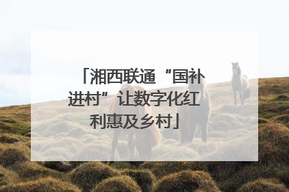 湘西联通“国补进村”让数字化红利惠及乡村