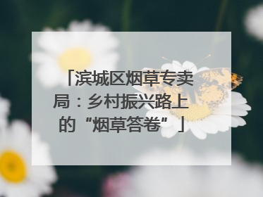 滨城区烟草专卖局：乡村振兴路上的“烟草答卷”