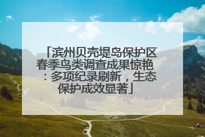 滨州贝壳堤岛保护区春季鸟类调查成果惊艳：多项纪录刷新，生态保护成效显著