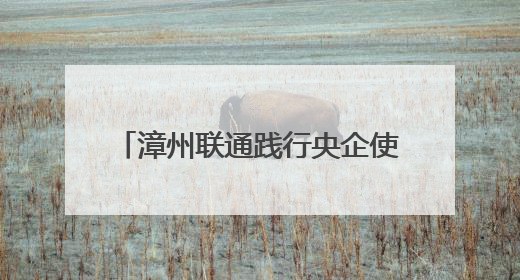 漳州联通践行央企使命 以通信赋能构建民生服务创新生态