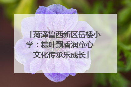 菏泽鲁西新区岳楼小学：粽叶飘香润童心 文化传承乐成长