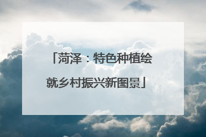 菏泽：特色种植绘就乡村振兴新图景