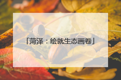 菏泽：绘就生态画卷